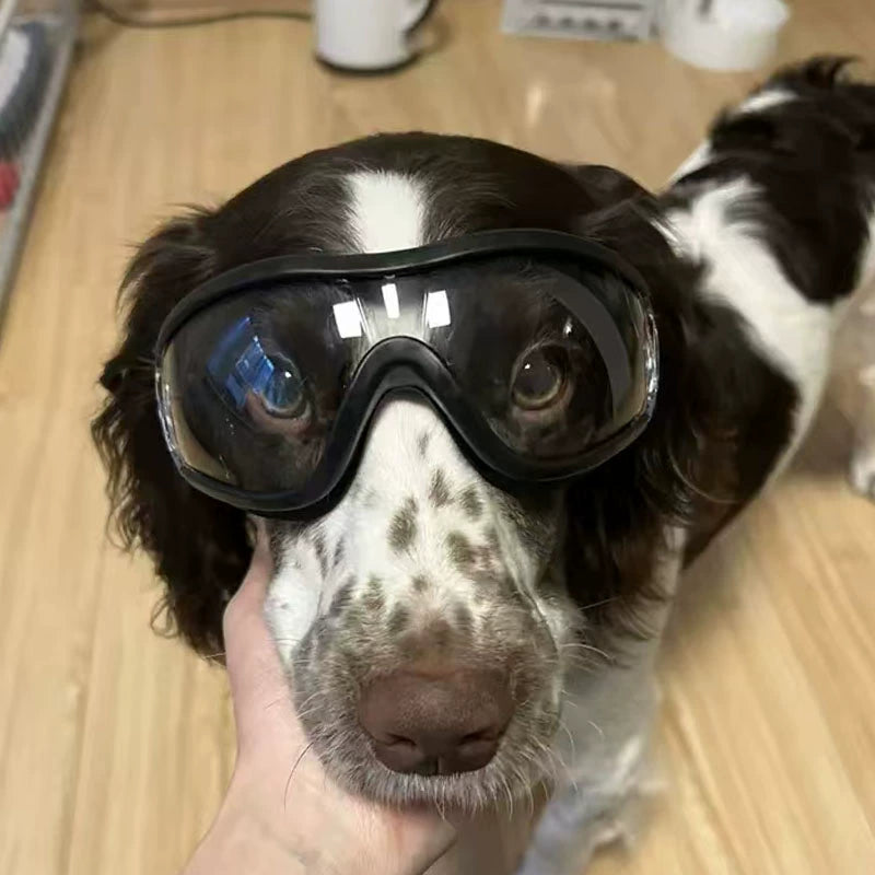 Pet UV Protection Sunglasses – Adjustable Cool Dog Goggles for Outdoor Sun Protection and Style