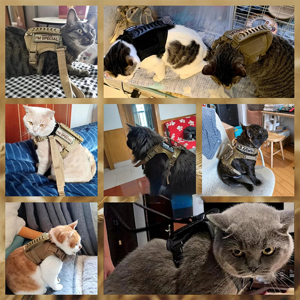 Tactical Cat & Small Dog Harness – Adjustable Military-Style Vest with Control Handle for Walking and Training