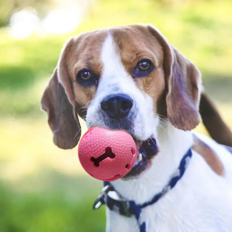 Interactive Dog Toy Ball – Treat Dispensing & Sound Toy | Elastic Fetch Ball for Dogs and Puppies | Fun Training & Birthday Gift