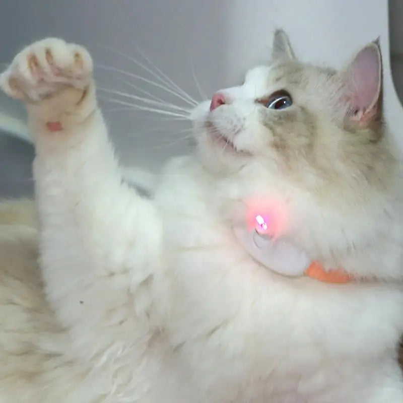 Smart LED Laser Cat Collar Toy – Automatic Interactive Laser Teasing Toy for Cats, Hands-Free Play and Exercise