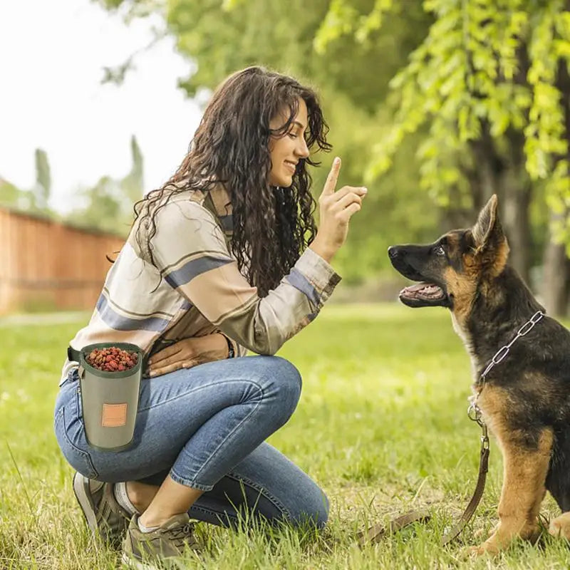 Portable Dog Treat Training Bag – Large-Capacity Snack & Reward Pouch with Adjustable Waist Strap, Perfect for Puppy Training and Outdoor Walks