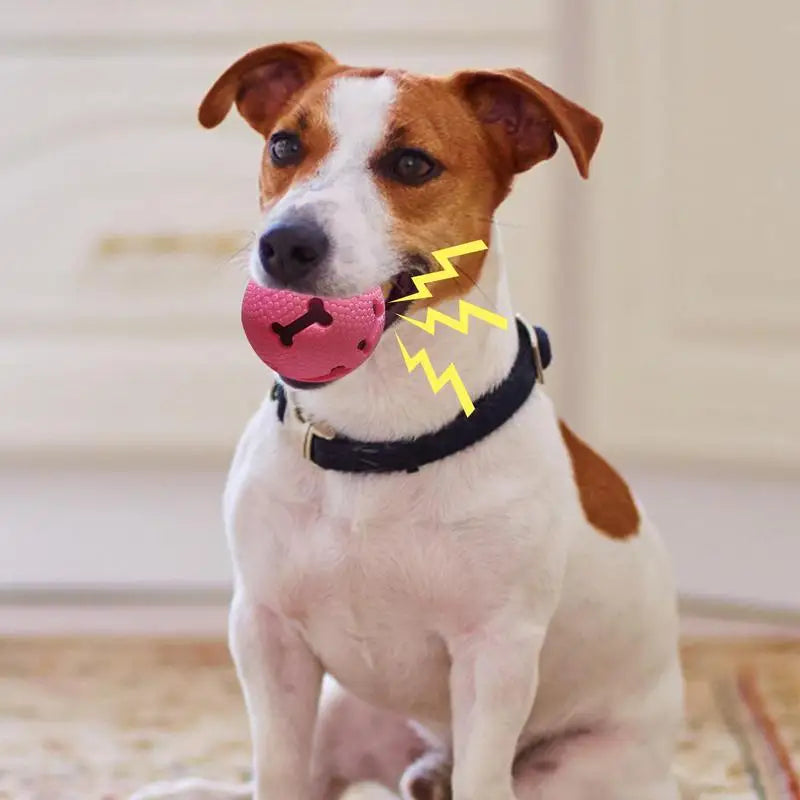 Interactive Dog Toy Ball – Treat Dispensing & Sound Toy | Elastic Fetch Ball for Dogs and Puppies | Fun Training & Birthday Gift