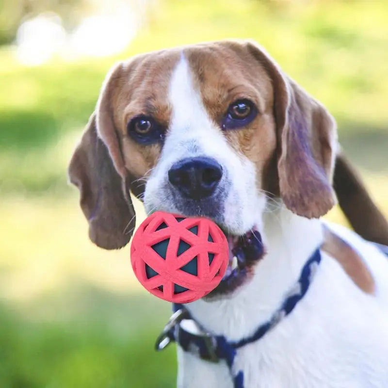 Interactive Dog Toy Ball – Treat Dispensing & Sound Toy | Elastic Fetch Ball for Dogs and Puppies | Fun Training & Birthday Gift