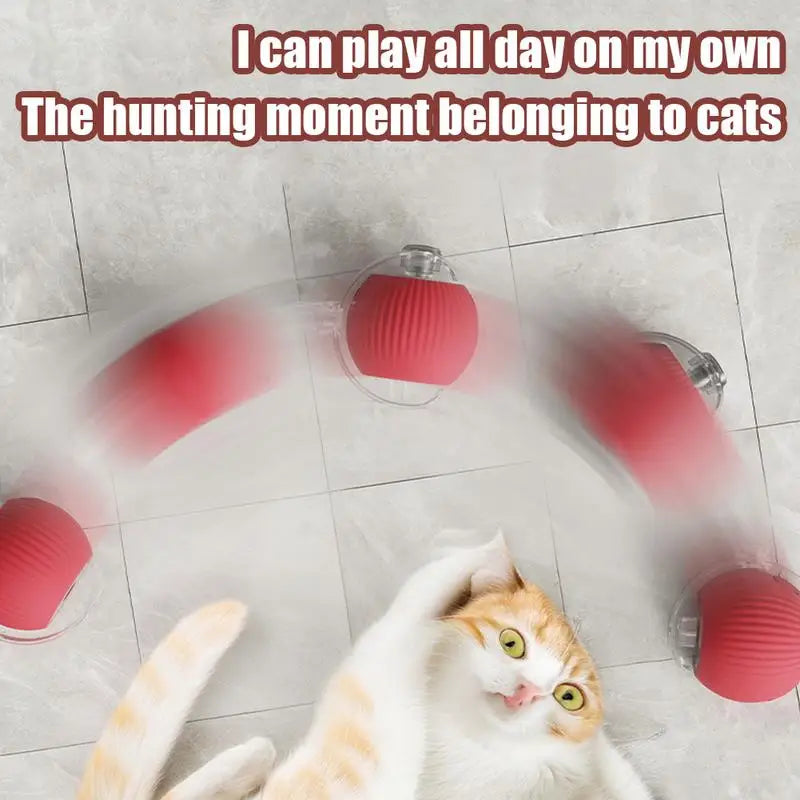 Rechargeable Electric Cat Ball Toy | Smart Automatic Rolling Ball with Faux Tail | Interactive Pet Toy for Cats & Dogs | Imitates Real Movement for Training & Play