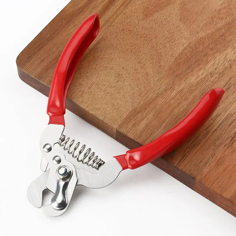 Safe Pet Nail Clippers – Stainless Steel Dog & Cat Nail Trimmer with Built-In File for Puppies and Small Animals