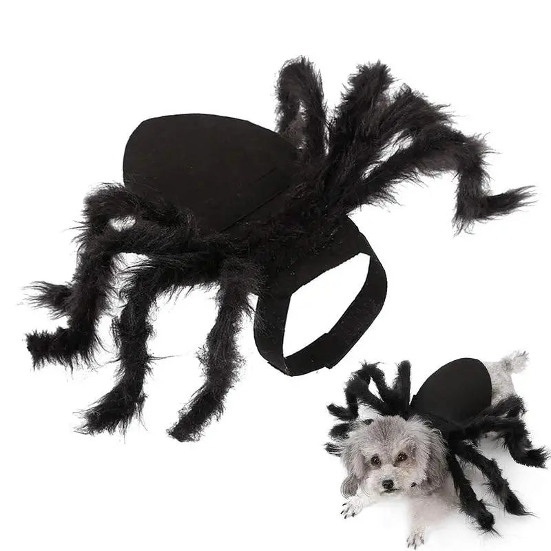 Halloween Pet Spider Costume – Funny Black Spider Outfit for Dogs and Cats, Perfect for Parties, Cosplay, and Holiday Events
