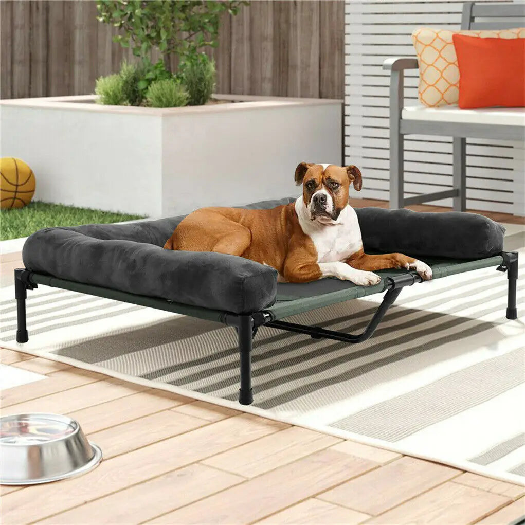Elevated Dog Bed with Detachable Plush Bolster – Indoor & Outdoor Cooling Pet Lounger for Dogs and Cats, Available in L and XL Sizes