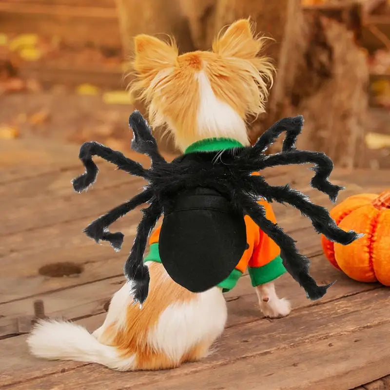 Halloween Pet Spider Costume – Funny Black Spider Outfit for Dogs and Cats, Perfect for Parties, Cosplay, and Holiday Events