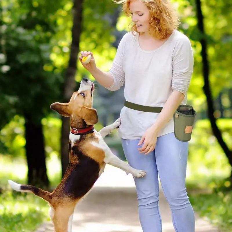Portable Dog Treat Training Bag – Large-Capacity Snack & Reward Pouch with Adjustable Waist Strap, Perfect for Puppy Training and Outdoor Walks