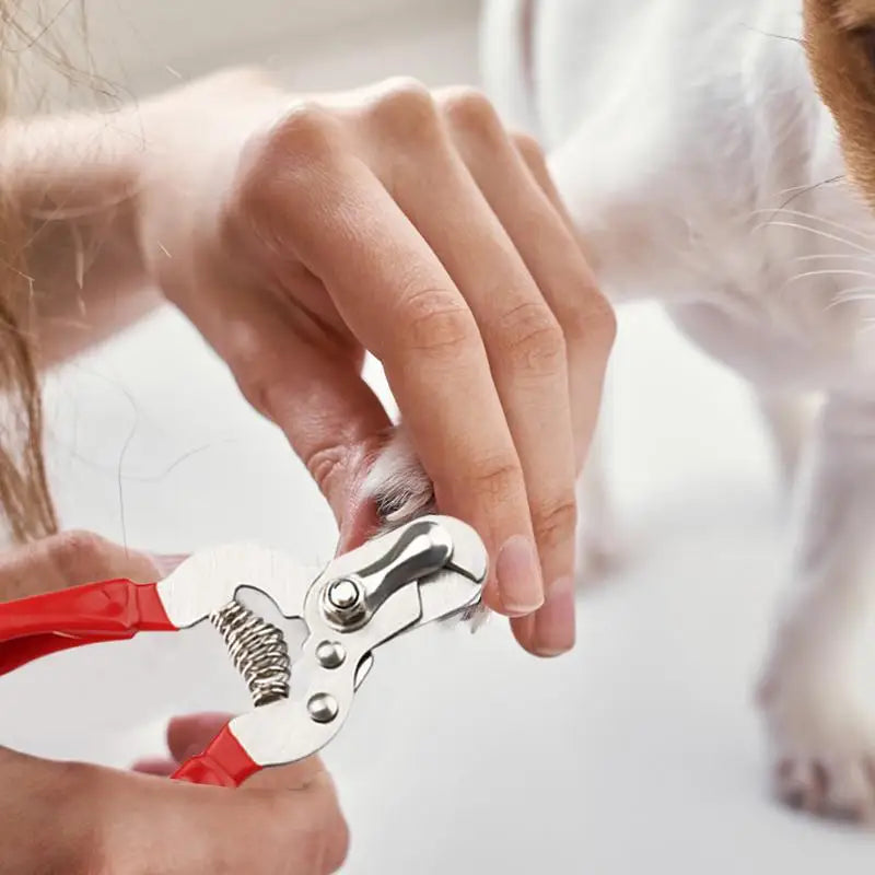 Safe Pet Nail Clippers – Stainless Steel Dog & Cat Nail Trimmer with Built-In File for Puppies and Small Animals