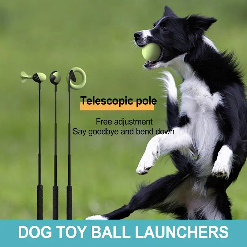 Dog Tennis Ball Launcher Stick – Outdoor Throwing and Training Toy for Pets | Durable Handheld Ball Thrower for Active Dogs
