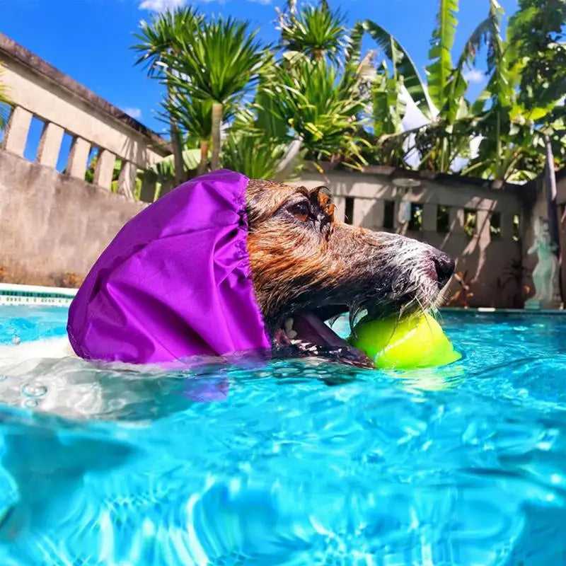 Waterproof Dog Ear Protection Cap – Comfortable Bathing and Swimming Hat Made from Durable Polyester