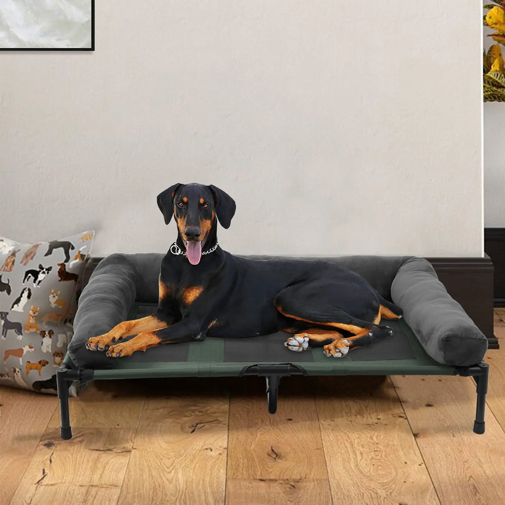 Elevated Dog Bed with Detachable Plush Bolster – Indoor & Outdoor Cooling Pet Lounger for Dogs and Cats, Available in L and XL Sizes