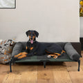 Elevated Dog Bed with Detachable Plush Bolster – Indoor & Outdoor Cooling Pet Lounger for Dogs and Cats, Available in L and XL Sizes
