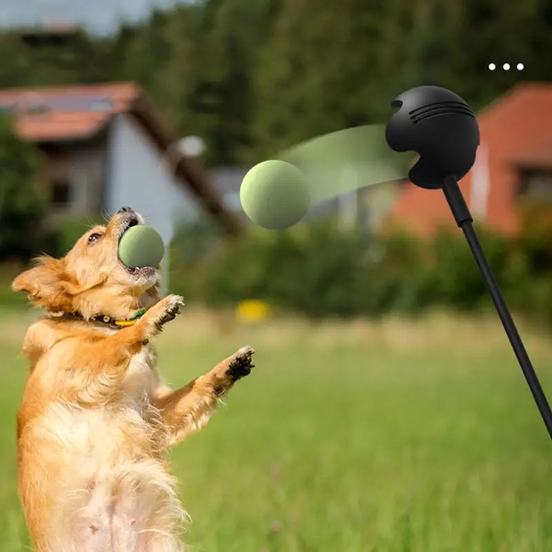 Dog Tennis Ball Launcher Stick – Outdoor Throwing and Training Toy for Pets | Durable Handheld Ball Thrower for Active Dogs